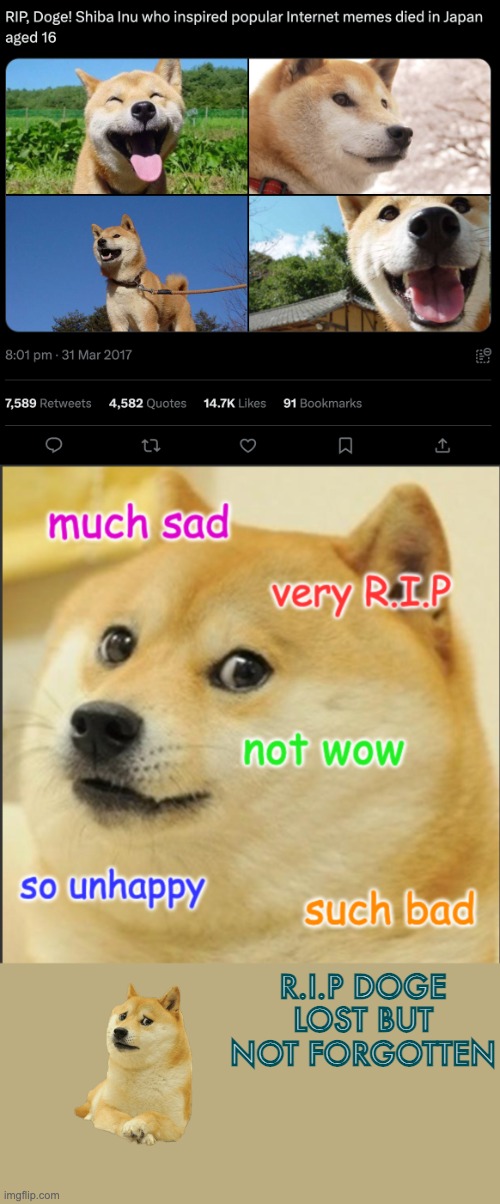 sad | R.I.P DOGE
LOST BUT NOT FORGOTTEN | image tagged in doge,rip | made w/ Imgflip meme maker