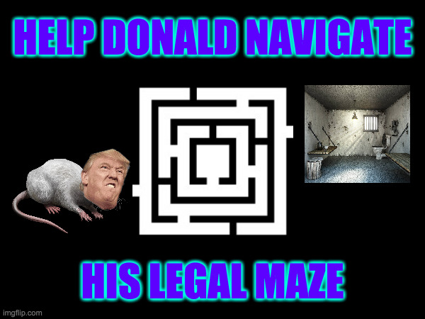 I think he'll be good at this. | HELP DONALD NAVIGATE; HIS LEGAL MAZE | image tagged in memes,trump | made w/ Imgflip meme maker
