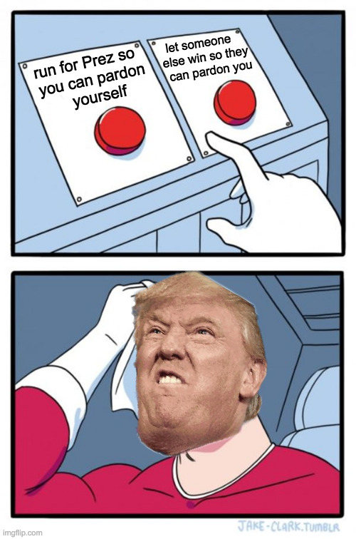 Don't help him. | let someone   
else win so they
  can pardon you; run for Prez so
  you can pardon
    yourself | image tagged in memes,two buttons,trump | made w/ Imgflip meme maker