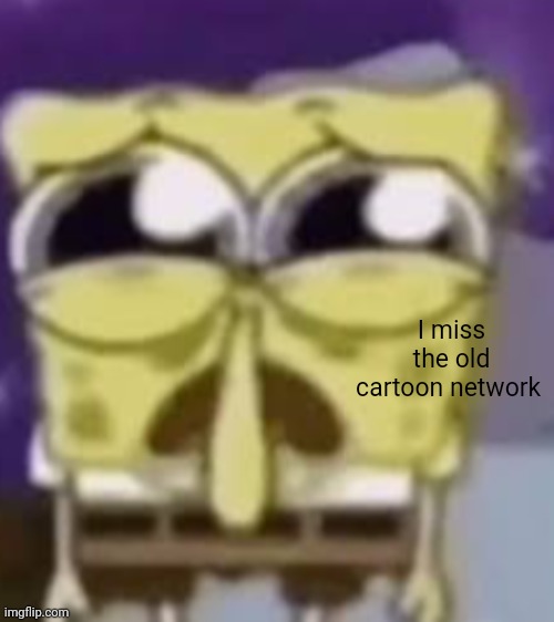 the skrunkly bunky | I miss the old cartoon network | image tagged in the skrunkly bunky | made w/ Imgflip meme maker