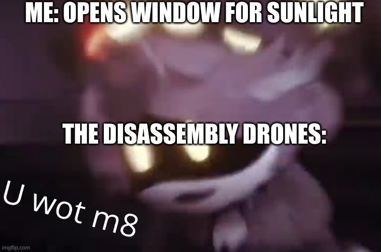 U wot m8 | ME: OPENS WINDOW FOR SUNLIGHT; THE DISASSEMBLY DRONES: | image tagged in u wot m8 | made w/ Imgflip meme maker