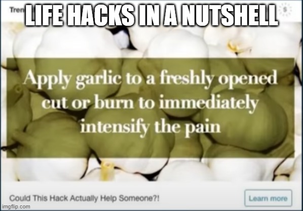 Intensify The Pain | LIFE HACKS IN A NUTSHELL | image tagged in intensify the pain | made w/ Imgflip meme maker