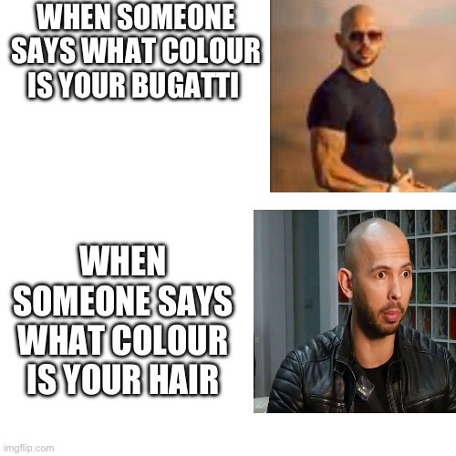 Blank Transparent Square Meme | WHEN SOMEONE SAYS WHAT COLOUR IS YOUR BUGATTI; WHEN SOMEONE SAYS WHAT COLOUR IS YOUR HAIR | image tagged in memes,blank transparent square | made w/ Imgflip meme maker