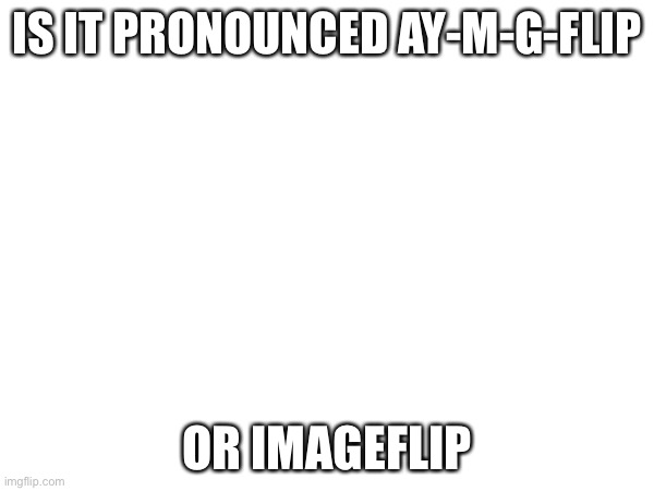 ? | IS IT PRONOUNCED AY-M-G-FLIP; OR IMAGEFLIP | image tagged in question,imgflip | made w/ Imgflip meme maker