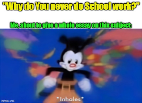 I honestly don't care about Qualifications, i'll just be that One Unemployed friend on a Tuesday | "Why do You never do School work?"; Me, about to give a whole essay on this subject: | image tagged in yakko inhale,memes,school | made w/ Imgflip meme maker