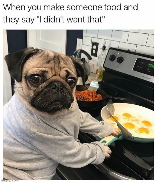 meme i found want to show it | image tagged in pug,cooking | made w/ Imgflip meme maker