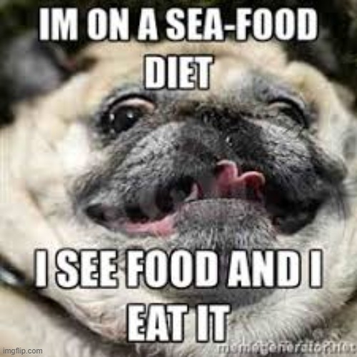 meme i found on internet aslo me when i see food | image tagged in pug,meme | made w/ Imgflip meme maker