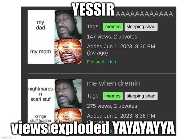 YESSIR | YESSIR; views exploded YAYAYAYYA | image tagged in memes,sleeping shaq,celebration | made w/ Imgflip meme maker