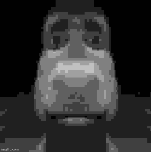 Donkey staring | image tagged in donkey staring | made w/ Imgflip meme maker