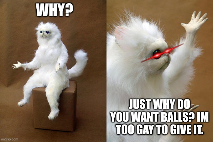 Persian Cat Room Guardian Meme | WHY? JUST WHY DO YOU WANT BALLS? IM TOO GAY TO GIVE IT. | image tagged in memes,persian cat room guardian | made w/ Imgflip meme maker