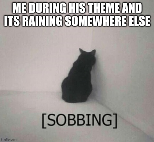 Sobbing cat | ME DURING HIS THEME AND ITS RAINING SOMEWHERE ELSE | image tagged in sobbing cat | made w/ Imgflip meme maker