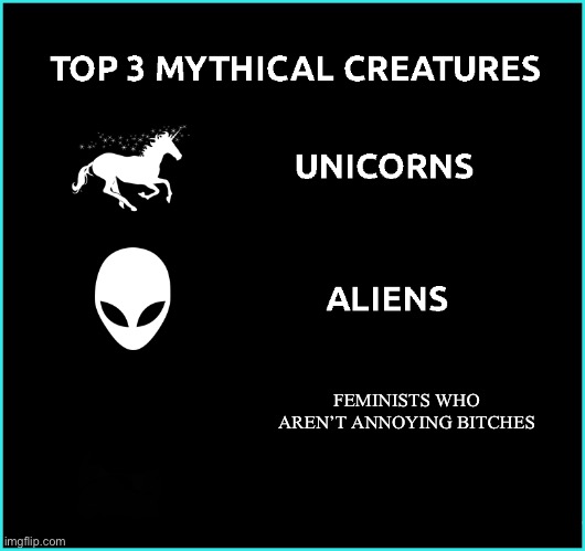 top 3 mythical creatures | FEMINISTS WHO AREN’T ANNOYING BITCHES | image tagged in top 3 mythical creatures | made w/ Imgflip meme maker