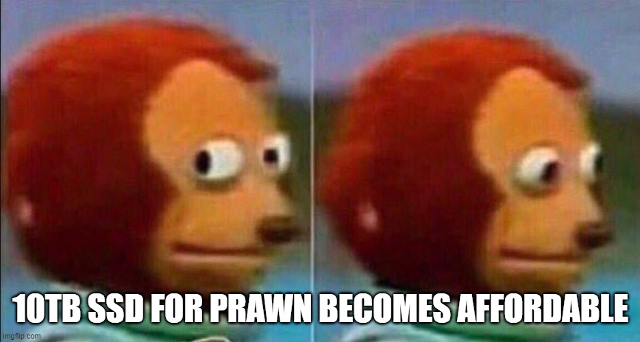 Endless possibilities | 10TB SSD FOR PRAWN BECOMES AFFORDABLE | image tagged in monkey looking away | made w/ Imgflip meme maker