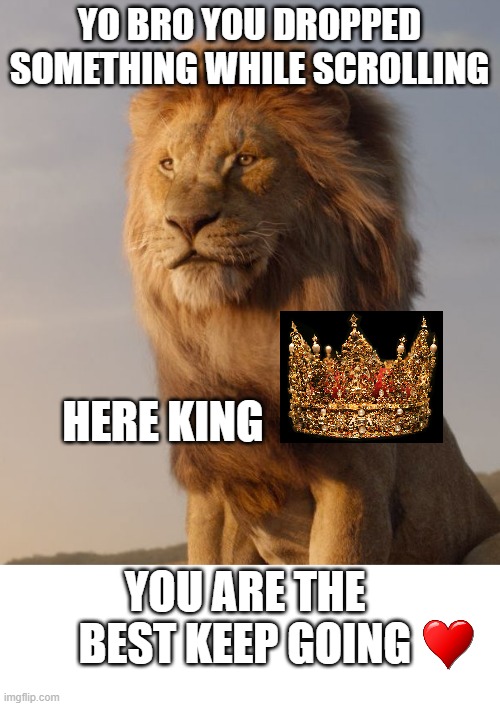 you are the best thing to happen in your parents life❤️❤️ | YO BRO YOU DROPPED SOMETHING WHILE SCROLLING; HERE KING; YOU ARE THE BEST KEEP GOING | image tagged in lion | made w/ Imgflip meme maker