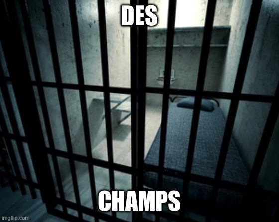 DES; CHAMPS | image tagged in fed up,prison,racket ball,deschamps,debchamps,ezdebs | made w/ Imgflip meme maker