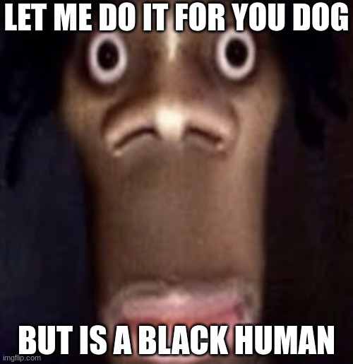 Quandale dingle | LET ME DO IT FOR YOU DOG; BUT IS A BLACK HUMAN | image tagged in quandale dingle | made w/ Imgflip meme maker