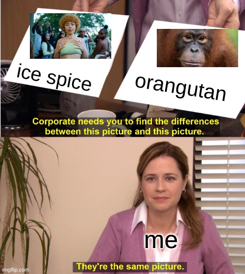 They're The Same Picture Meme | ice spice; orangutan; me | image tagged in memes,they're the same picture | made w/ Imgflip meme maker
