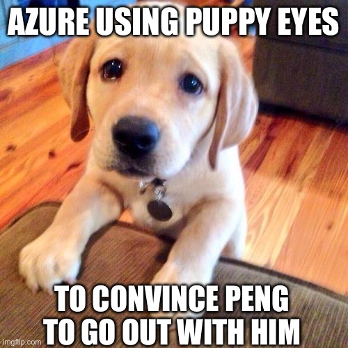 Puppy dog eyes | AZURE USING PUPPY EYES; TO CONVINCE PENG TO GO OUT WITH HIM | image tagged in puppy dog eyes | made w/ Imgflip meme maker