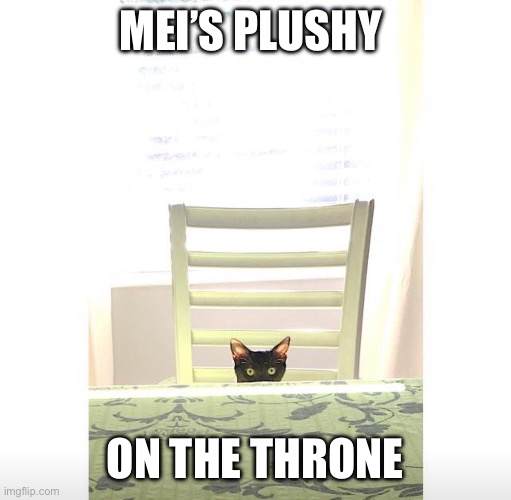 I always feel like somebody's watching me  | MEI’S PLUSHY; ON THE THRONE | image tagged in i always feel like somebody's watching me | made w/ Imgflip meme maker