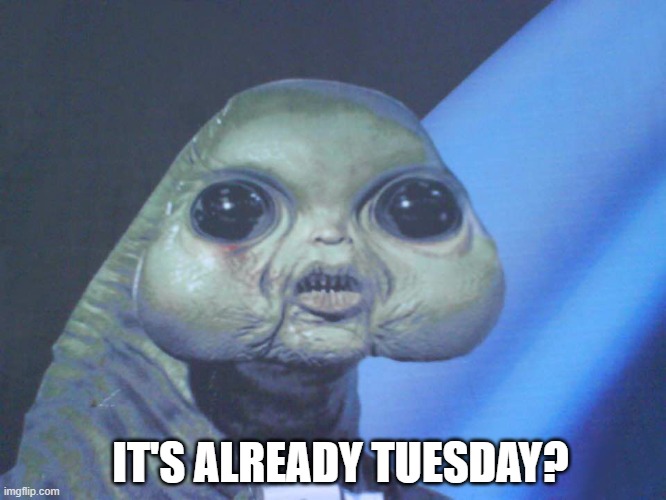 Tuesday | IT'S ALREADY TUESDAY? | image tagged in awkward alien | made w/ Imgflip meme maker
