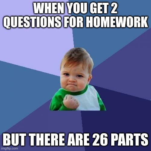 Success Kid | WHEN YOU GET 2 QUESTIONS FOR HOMEWORK; BUT THERE ARE 26 PARTS | image tagged in memes,success kid | made w/ Imgflip meme maker