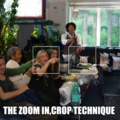 THE ZOOM IN,CROP TECHNIQUE | made w/ Imgflip meme maker