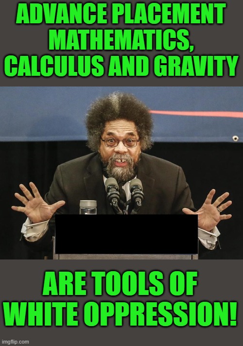Modern progressive education | ADVANCE PLACEMENT MATHEMATICS, CALCULUS AND GRAVITY; ARE TOOLS OF WHITE OPPRESSION! | image tagged in cornel west | made w/ Imgflip meme maker