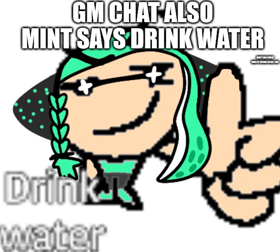 Drink water | GM CHAT ALSO MINT SAYS DRINK WATER; DON'T FALL FOR IT MINT IS TRYING TO KILL YOU | image tagged in drink water | made w/ Imgflip meme maker