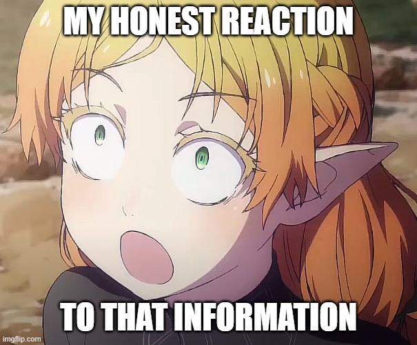 Sui reacts to certain information | MY HONEST REACTION; TO THAT INFORMATION | image tagged in sui,reaction,shocked face | made w/ Imgflip meme maker