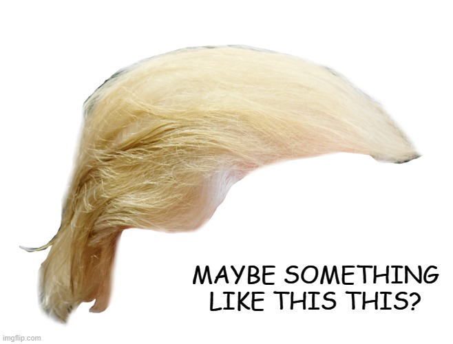 Trump Hair | MAYBE SOMETHING LIKE THIS THIS? | image tagged in trump hair | made w/ Imgflip meme maker