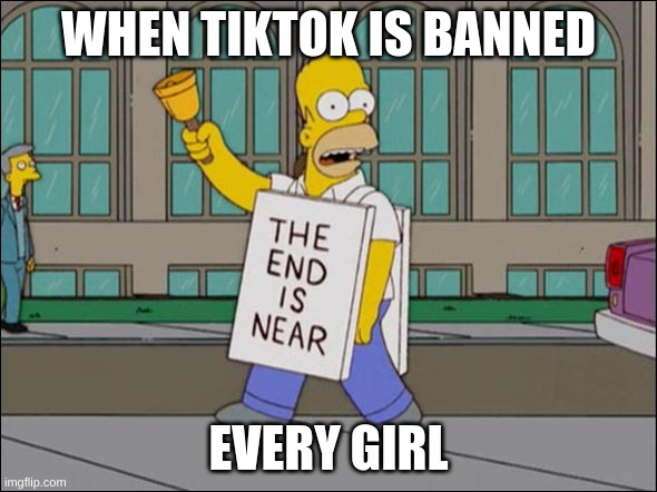 tiktok is the worst YouTube shorts is better | WHEN TIKTOK IS BANNED; EVERY GIRL | image tagged in end is near,girl,tiktok sucks | made w/ Imgflip meme maker