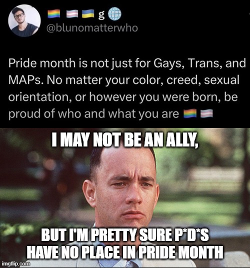 I'm fairly certain that this characteristic is what they were trying to steer clear of | I MAY NOT BE AN ALLY, BUT I'M PRETTY SURE P*D*S HAVE NO PLACE IN PRIDE MONTH | image tagged in i may not be a smart man | made w/ Imgflip meme maker