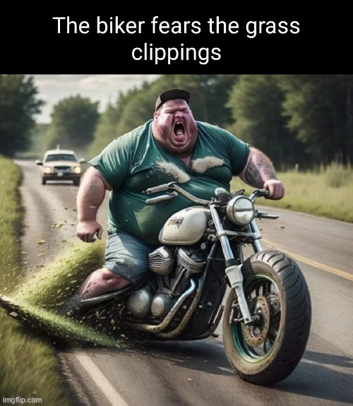 image tagged in memes | made w/ Imgflip meme maker
