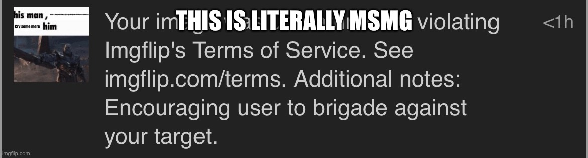 THIS IS LITERALLY MSMG | made w/ Imgflip meme maker