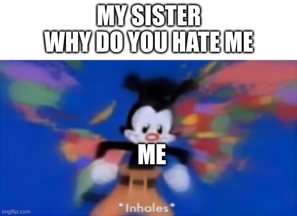 Longest list ever | MY SISTER
WHY DO YOU HATE ME; ME | image tagged in yakko inhale,3 | made w/ Imgflip meme maker