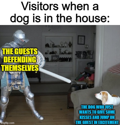 Typical dogs... @_@ | Visitors when a dog is in the house:; THE GUESTS DEFENDING THEMSELVES; THE DOG WHO JUST WANTS TO GIVE SOME KISSES AND JUMP ON THE GUEST IN EXCITEMENT | image tagged in knight acosts dog | made w/ Imgflip meme maker