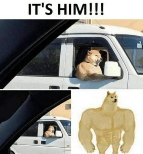 It's Him! | image tagged in buff dog,kewlew | made w/ Imgflip meme maker