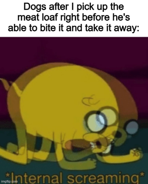 So close U_U | Dogs after I pick up the meat loaf right before he's able to bite it and take it away: | image tagged in jake the dog internal screaming | made w/ Imgflip meme maker
