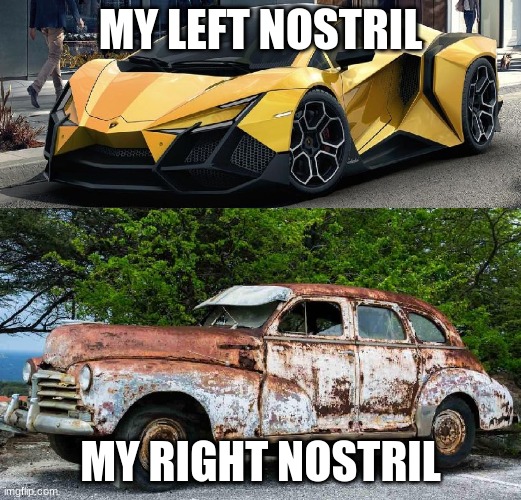 my nostrils in the morning | MY LEFT NOSTRIL; MY RIGHT NOSTRIL | image tagged in nice car rusty car | made w/ Imgflip meme maker