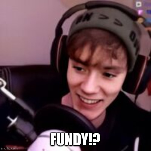 Fundy | FUNDY!? | image tagged in fundy | made w/ Imgflip meme maker