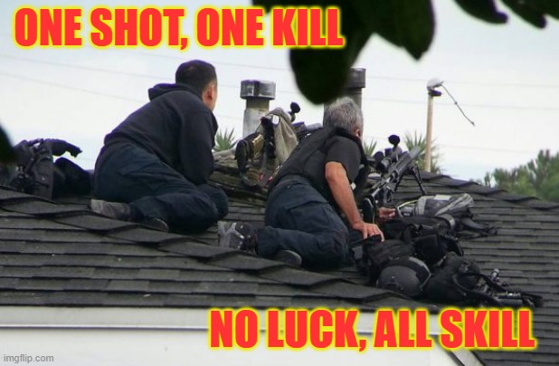 One shot, one kill - no luck, all skill sniper police | ONE SHOT, ONE KILL; NO LUCK, ALL SKILL | image tagged in rooftop snipers defending american homes,police,law,united states,america,usa | made w/ Imgflip meme maker