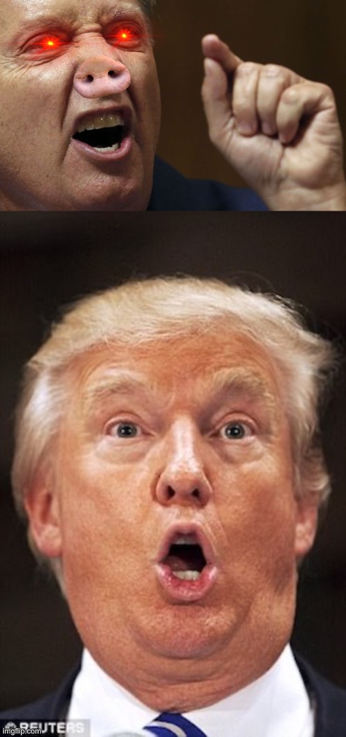 image tagged in lindsay graham snarling in a hissy fit,trump dumb-ass | made w/ Imgflip meme maker