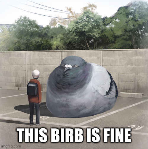 Beeg Birb | THIS BIRB IS FINE | image tagged in beeg birb | made w/ Imgflip meme maker