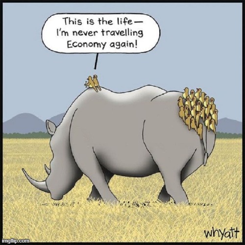 First Class is Always the Best | image tagged in vince vance,comics/cartoons,first class,economy,memes,rhino | made w/ Imgflip meme maker