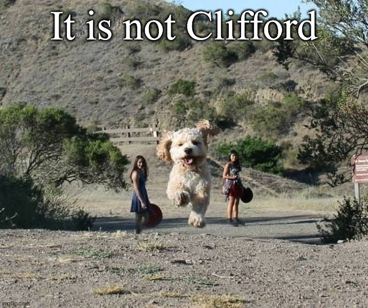 It is not Clifford | made w/ Imgflip meme maker