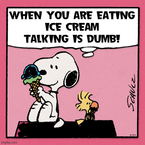 What is there to say to Ice Cream except "I love you!" | WHEN YOU ARE EATING
ICE CREAM
TALKING IS DUMB! | image tagged in vince vance,comics/cartoons,snoopy,woodstock,ice cream,memes | made w/ Imgflip meme maker