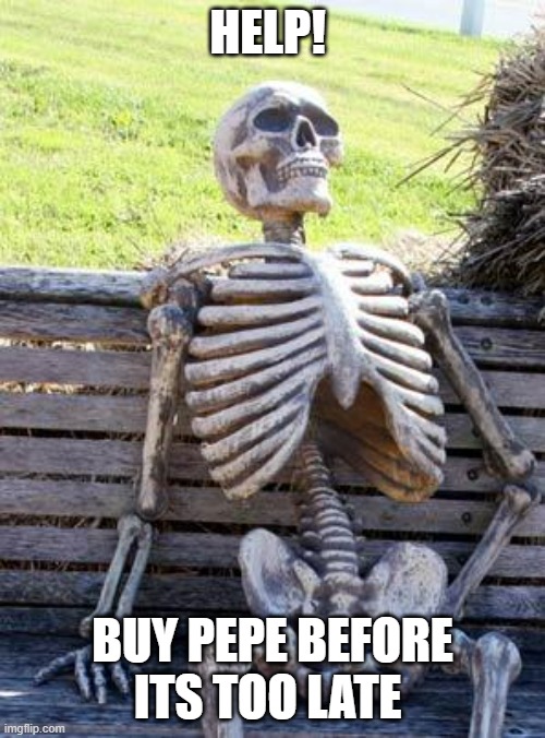 Pepe 1 | HELP! BUY PEPE BEFORE ITS TOO LATE | image tagged in memes,waiting skeleton | made w/ Imgflip meme maker