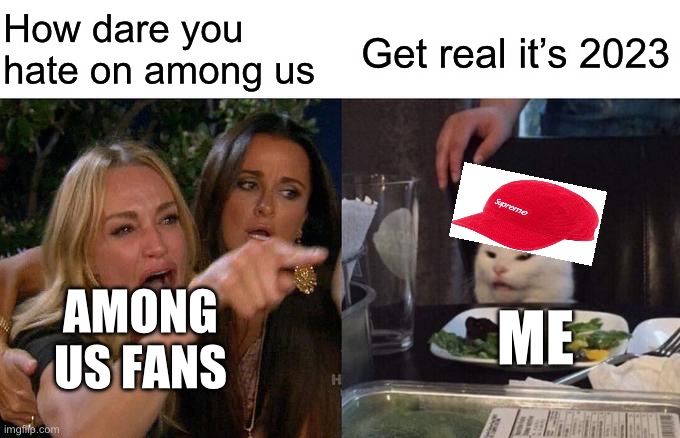 Woman Yelling At Cat | How dare you hate on among us; Get real it’s 2023; ME; AMONG US FANS | image tagged in memes,woman yelling at cat | made w/ Imgflip meme maker