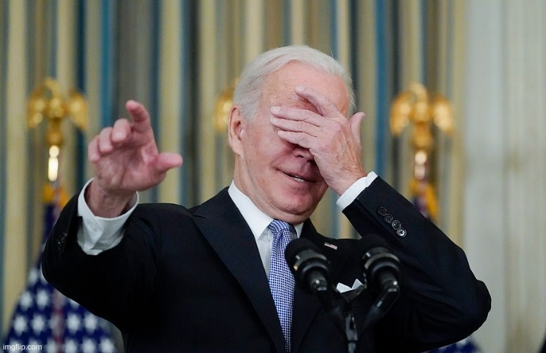 Idiot Joe Biden Facepalm | image tagged in idiot joe biden facepalm | made w/ Imgflip meme maker