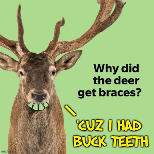 The Painful Truth from a Courageous Deer | \; 'CUZ I HAD 
BUCK TEETH | image tagged in vince vance,deer,memes,riddles and brainteasers,braces,buck teeth | made w/ Imgflip meme maker